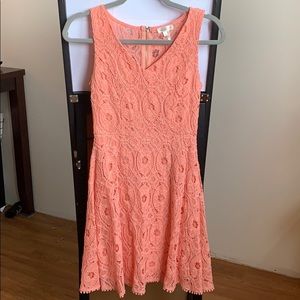 Coral lace skater dress